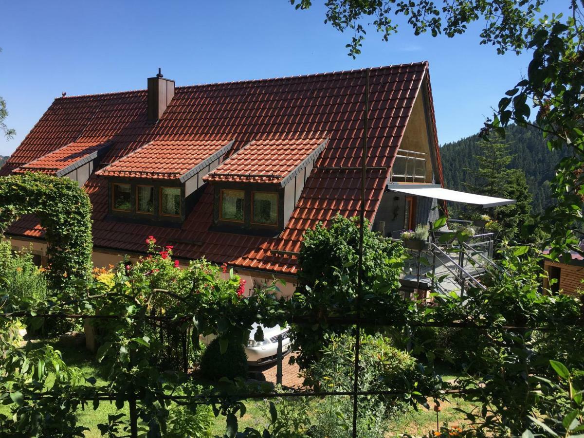 Ferienwohnung Wildenreuth Weidenberg Экстерьер фото